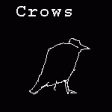 World Crows, 2007+